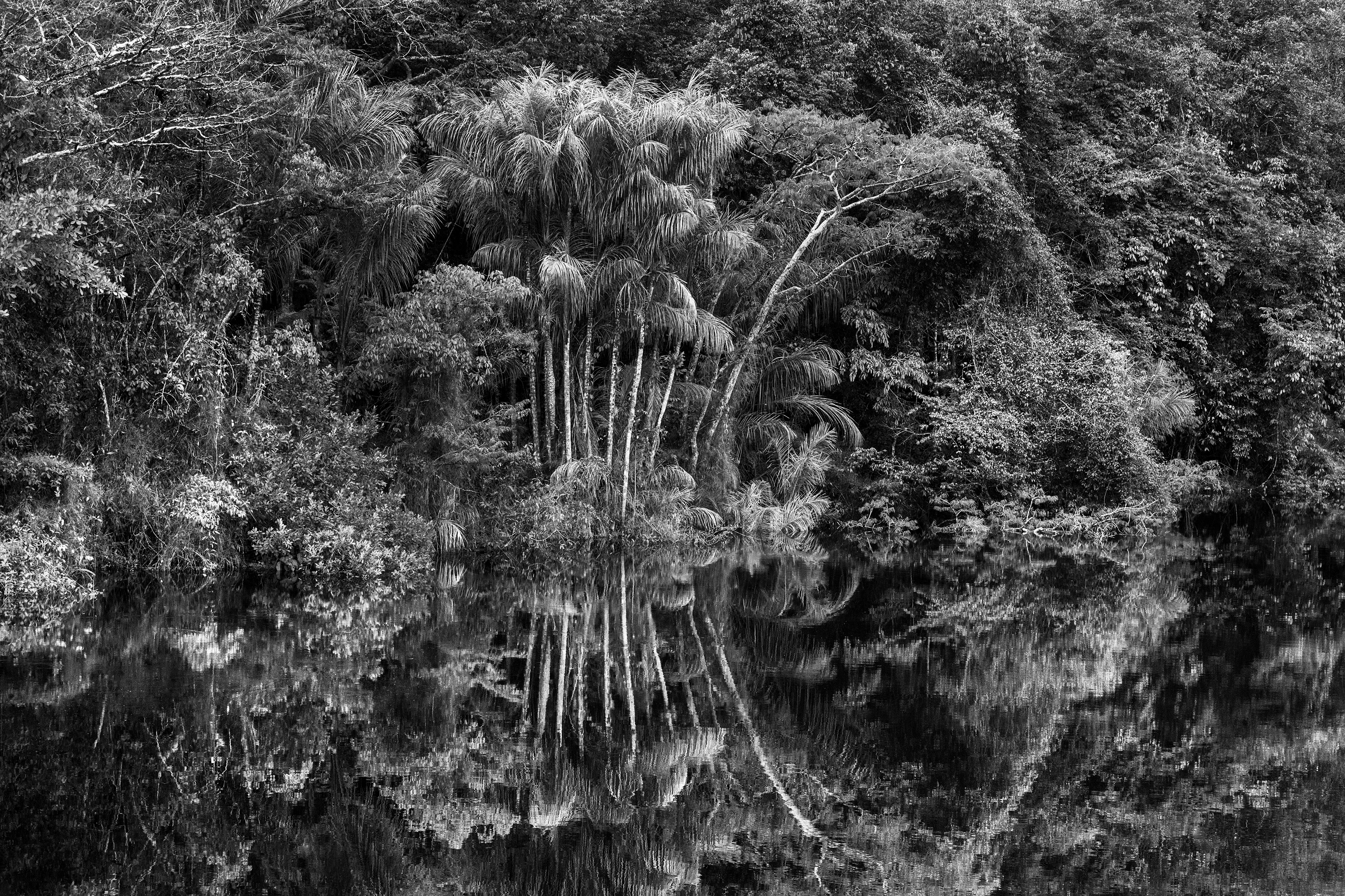 Sebastião Salgado: Amazônia 