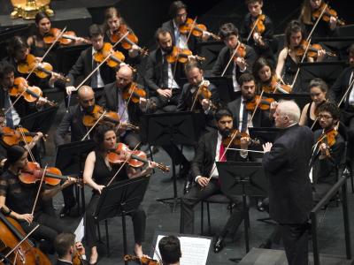 West-Eastern Divan Orchestra