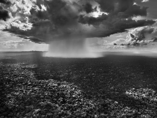 Sebastião Salgado: Amazônia 